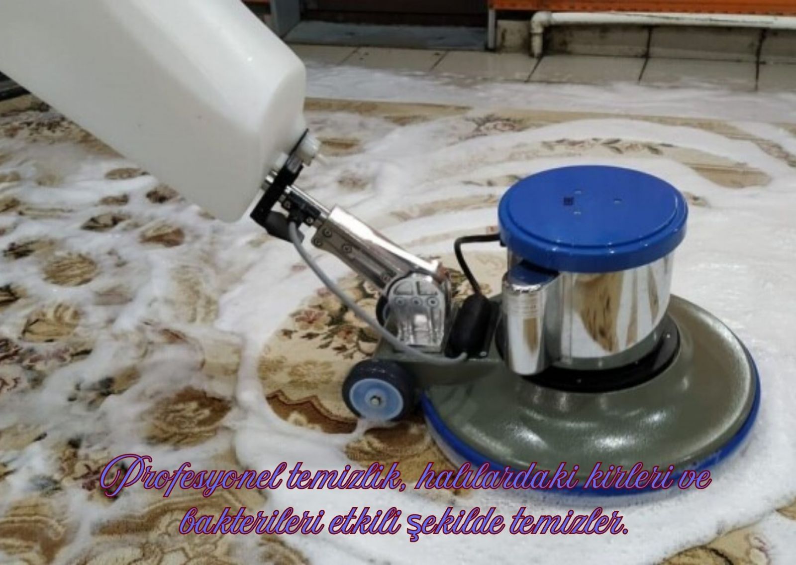 Şehzadeler En İyi Halı Yıkama